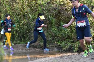 BIB: 1471
                            <button type="button" onclick="openModal(6974695)" class="btn btn-primary btn-sm float-right btn-popup" data-toggle="modal" data-target=".modal-high-quality">
                        <i class="fas fa-shopping-cart"></i> Add to Cart
                    </button>
                                            <button type="button" onclick="isThisMe(6974695, true)" class="btn btn-success btn-sm float-right btn-popup btn-isme hidden" data-toggle="tooltip" data-placement="bottom" title="นี่คือรูปของคุณใช่ไหม คลิกที่นี่เพื่อเอาเข้าอัลบั้ม">
                        <i class="fas fa-plus"></i> Add to album
                    </button>
                    <button type="button" onclick="isThisMe(6974695, false)" class="btn btn-warning btn-sm float-right btn-popup btn-isnotme hidden">
                        <i class="fas fa-ban"></i> Remove from album
                    </button>